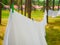 Close up photo of fresh white laundry hanging on a washing rope with clothespin between pine trees outdoor in a summer camp in a