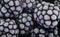 Close up photo of Frosted blackberry. Selected berries background