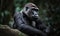 close up photo of gorilla on blurry green jungle background. Generative AI