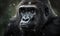 close up photo of gorilla on blurry green jungle background. Generative AI