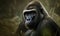close up photo of gorilla in its natural habitat. Generative AI