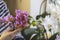 Close Up photo of a hand holding a sprig of orchid with small purple petals.