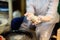 Close-up photo of hands of woman making clay object