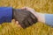 Close up photo of a handshake between afroamerican and european hands inside of wheat field. Handshake is in front of wheat field