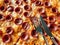 Close-up photo of a hot delicious pepperoni pizza ready to eat