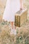 The close-up photo of the legs of the bride dressed in the knee-length dress and carrying the vintage suitcase in the