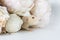 Close-up photo of litle cute white rat in Beautiful Flowering Cherry Tree branches