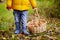 Close-up photo of little boy picking mushroom in basket