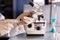 Close-up photo of microbiologist hands taking vaccine from bottle with the use of syringe