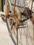 Close up photo of old, dirty and rusty bicycle chains, sprocket and foot peg at rear wheel.