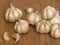 Close up Photo of Organic Whole Garlic with some Unpeeled Cloves. Pod of garlic.