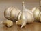 Close up Photo of Organic Whole Garlic with some Unpeeled Cloves. Pod of garlic.