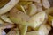 Close up photo of potato peelings