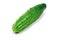 Close-up photo of single cucumber