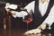 Close-up photo, sommelier pours red wine to glass on bar counter background.