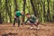 Close up photo of two guys friends in the wood in fall, collecting wood for a camp fire, nice view of a forest in the autumn