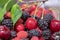 Close up photo of various berries - cherries, blackberries, raspberry