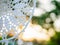 Close up photo of white handmade dreamcatcher outdoor on blurred nature background during sunset