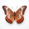 Close-up Photograph Of Large Brown Butterfly On White Surface