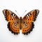 Close-up Photography Of A Detailed Orange And Black Butterfly