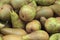 A close-up photography of a heap of pears. Stock photo with empty space for your text. For web, print, background and wallpaper