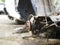 Close-up photos of car wheels that are rusted in the car cemetery