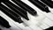 Close-up piano keyboard and flying away white feather