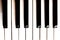 Close-up of piano keys. close frontal view.