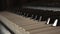 Close-up of piano keys musical instrument