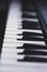 Close up of Piano Keys. white and black keys. Playing electronic Piano