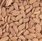 Close up picture of almonds, food background