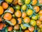 Close up picture of a bunch of oranges with the leaves in the market