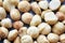 Close up picture of macadamia nuts.