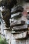 Close-up picture of a mountain-wall with some hanging coffins, Sagada, Luzon, Philippines