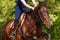 Close-up picture of running bay horse with rider