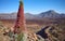 Close up picture of Tower of jewels plant, Tenefife, Spain