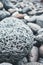 Close up picture of a volcanic rock on a beach