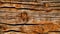 Close-up picture with wood texture backdrop. Old natural pattern of tree grain. Generative AI.