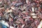 Close-up pictures of fresh crabs in seafood market shops  Asian food business