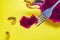 Close-up of piece of bitten pitaya, dragon fruit on fork, yellow background