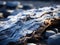 a close up of a piece of driftwood on the beach