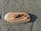 Close up of a piece of driftwood with layers and holes on Gold Bluffs Beach at Prairie Creek Redwoods State Park, California, USA