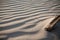 Close up of piece of tree branch on a windy wavy sandy beach