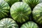 Close up of a pile of beautiful delicious green watermelons on t