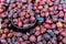 Close up pile of dried fruit of rosehip or wild rose