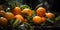 close-up of a pile of freshly picked oranges still covere generative AI