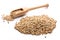 Close-up of pile of green buckwheat in a wooden spoon on white b