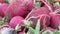 Close up of pile of organic radish at food market.