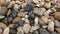 A close-up of a pile of pebbles