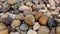 A close-up of a pile of pebbles